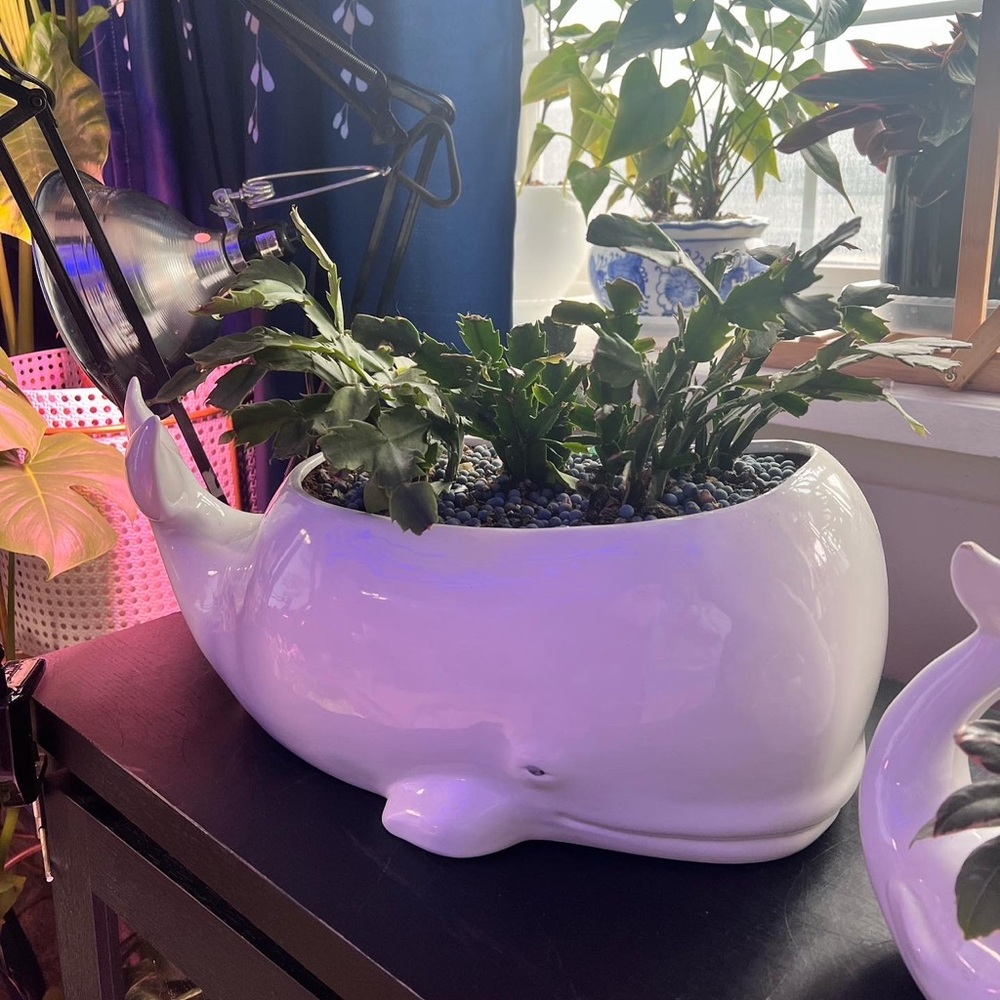 ❤️❤️LARGE apx.16-17” White Whale Ceramic Planter❤️❤️